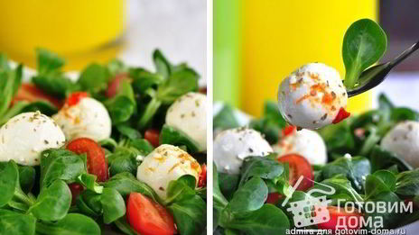 творожный сыр из йогурта