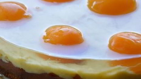 торт яичница