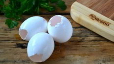 овощное заливное в яичной скорлупе