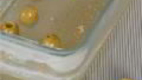 заливное из фаршированного языка