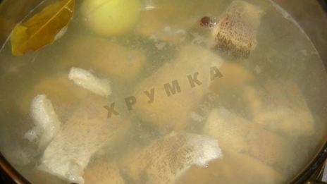 заливное из щуки