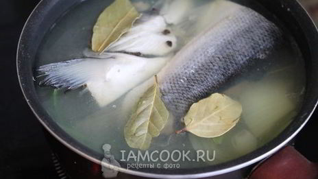 заливное из семги