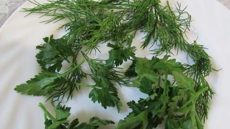 заливное морское дно