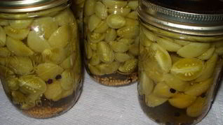 Зеленые помидоры соленые