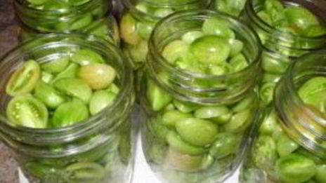 зеленые помидоры соленые