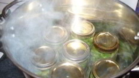 зеленые помидоры соленые