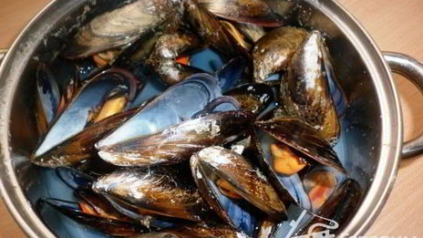 кокиль — жюльен из мидий