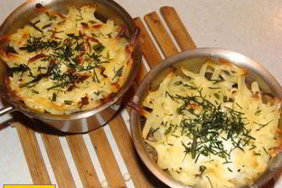 Жульен из опят