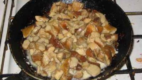 жюльен из языка с грибами